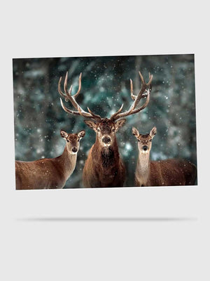 Puzzle Cerf Fantastique 1000 Pièces - GoCrazyPuzzle